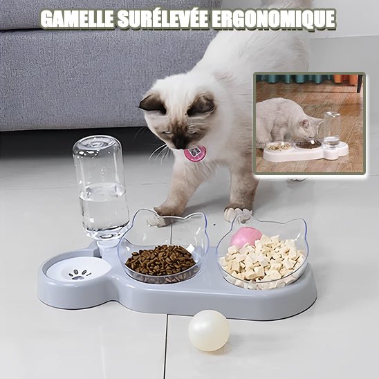 Gamelle chat surélevée | FélinFusion™ - Royaume Des Chats