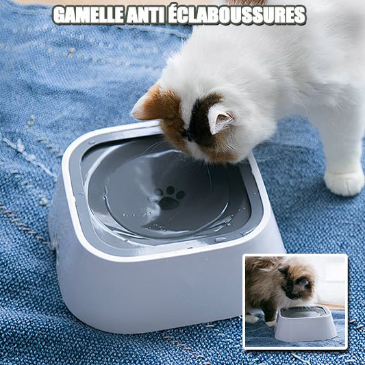 Gamelle pour Chat - Anti Éclaboussure - Royaume Des Chats