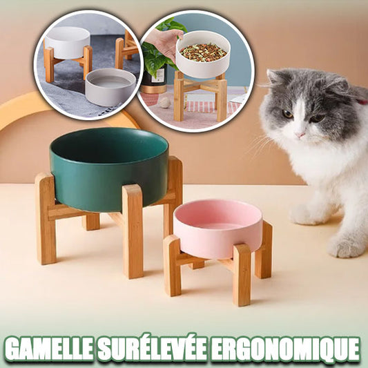 gamelle-pour-chat-ergonomique-design-modern-pour-une-alimentation-saine-et-confortable