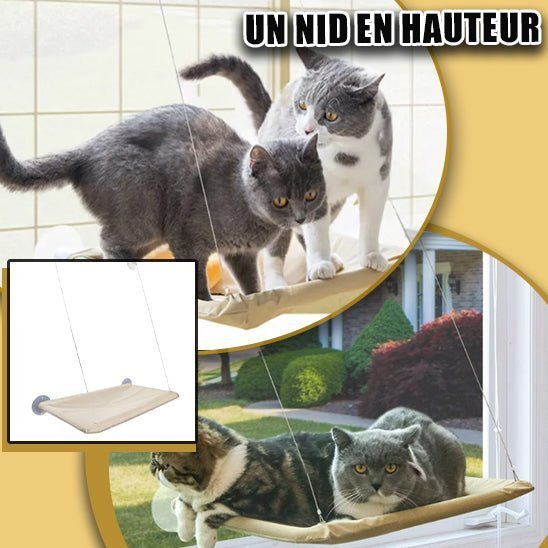 Hamac Chat - Vision Féline™ - Royaume Des Chats