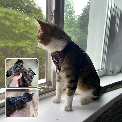 harnais-chat-noir