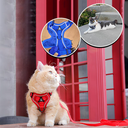 harnais-chat-rouge