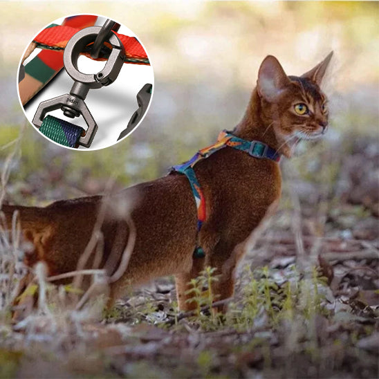 Harnais Pour Chat Ajustable Et Sécurisé - Taille XS à L - Avec Laisse - Pour Promenade Et Voyage