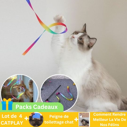 Jouet chat interactif | Catplay™ - Royaume Des Chats