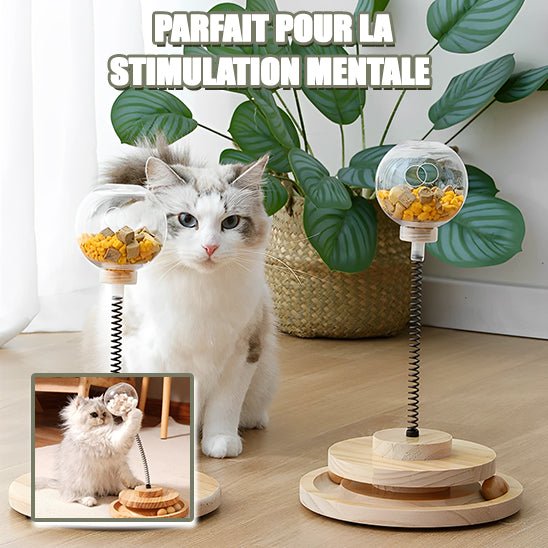 Jouet Chat Interactif - RoyaumeDesChats™ - Royaume Des Chats