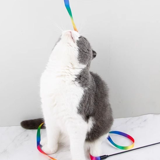 Jouet chat multucolor