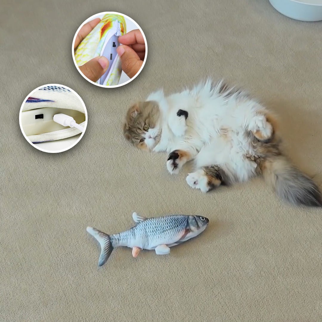 jouet poisson pour chat | FishyPlay™ - Royaume Des Chats