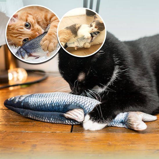 jouet poisson pour chat | FishyPlay™ - Royaume Des Chats