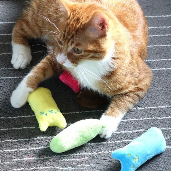 Jouet pour chat doux et stimulant