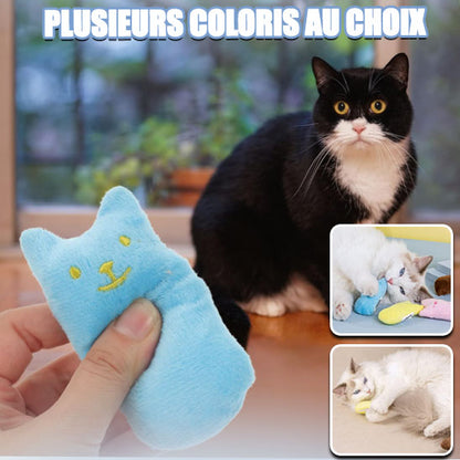 jouet-pour-chat-coloré-pour-un-divertissement-sans-fin
