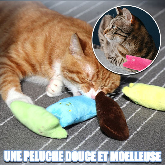 jouet-pour-chat-pour-une-meilleure-santé-bucco-dentaire