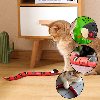 Jouet pour chat  interactif