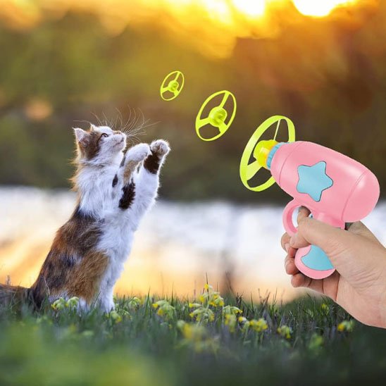 Jouet pour chat  interactive