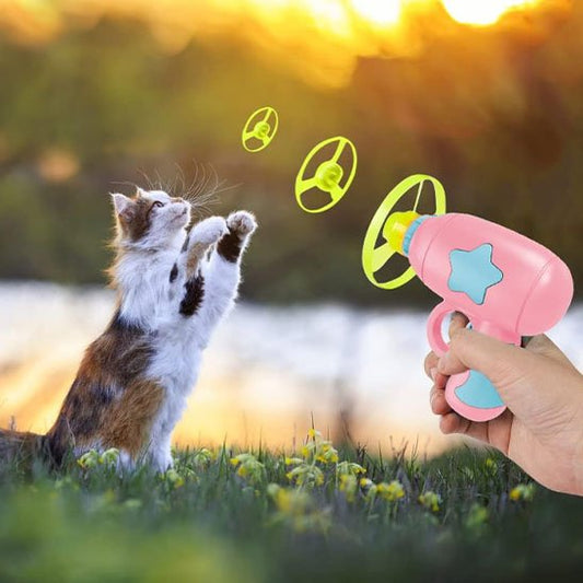 Jouet pour chat  interactive