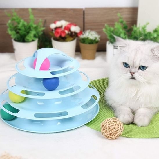 Jouet pour chat Jouet Bleu