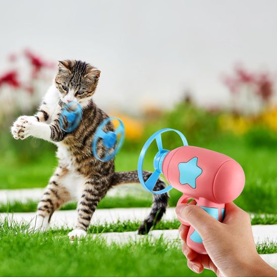 Jouet pour chat volant