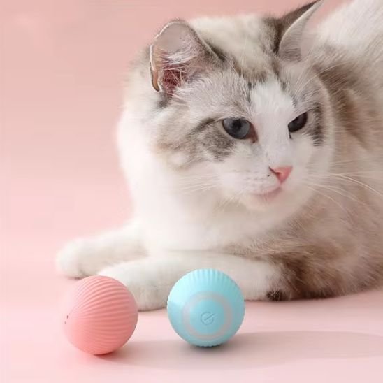 Jouet pour chat autoball