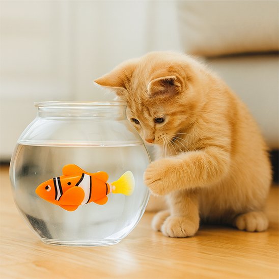 Jouet pour Chat orange