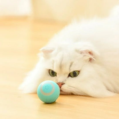 Jouet pour chat bleu