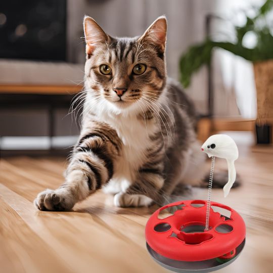 Jouets pour chat - FélinRotate™ interactive - Royaume Des Chats