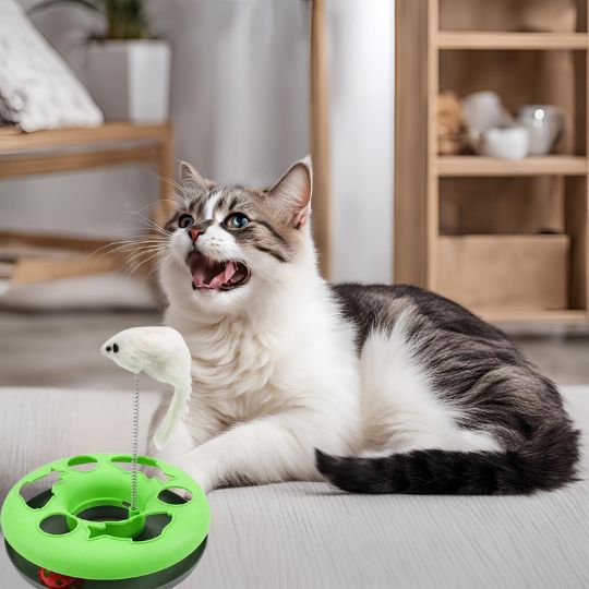 Jouets pour chat - FélinRotate™ interactive - Royaume Des Chats