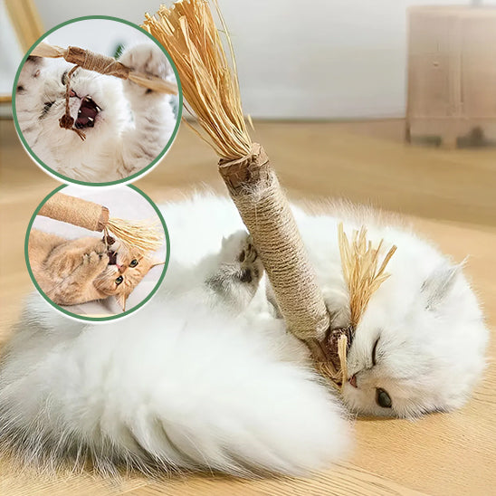 jouets-pour-chats-chat-détendu-après-mâcher-bâtonnet-naturel