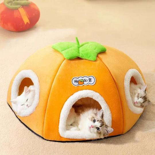 Panier pour chat orange - Royaume Des Chats