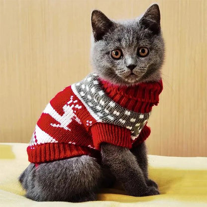 Pull pour Chat rouge