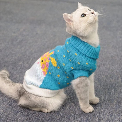 Pull pour Chat bleu