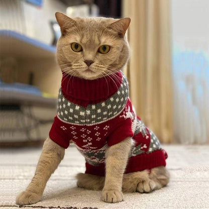 Pull pour Chat noel