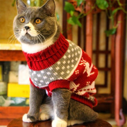 Pull pour Chat adorable