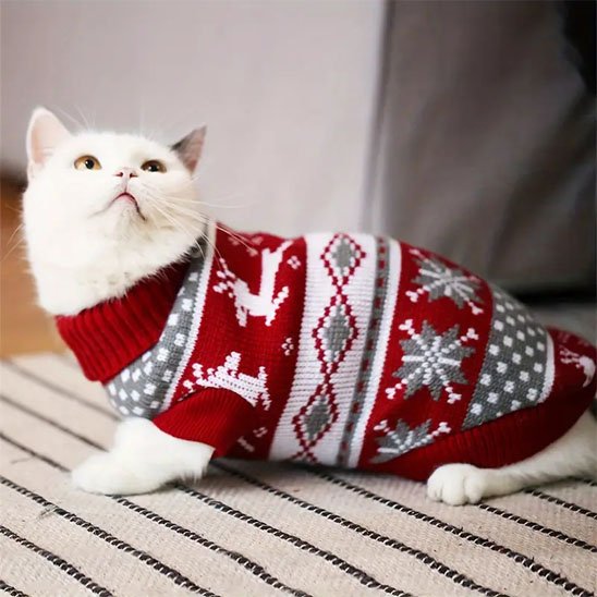 Pull pour Chat chauffant