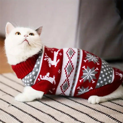 Pull pour Chat chauffant