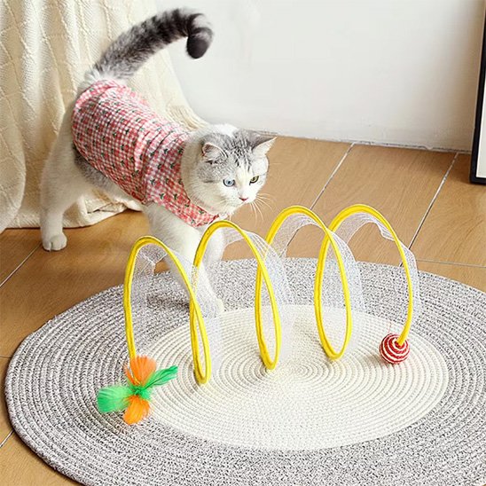 Tunnel pour chat avec accessoires colorés pour stimuler l’instinct de chasse