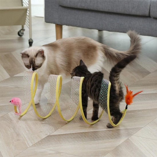 Tunnel pour chat en forme de ressort offrant visibilité et aération optimale