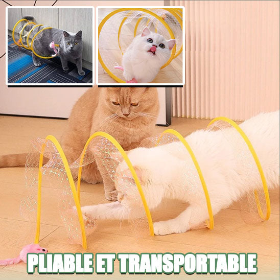 Tunnel Pour Chat Pliable Avec Balle - Jeu Interactif, Anti-griffes, Enrichissement Mental
